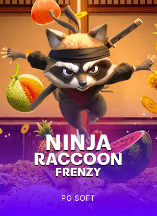 Demo Ninja Raccoon Frenzy